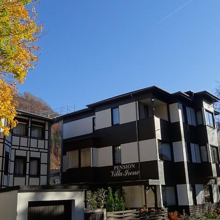 Pension Villa Irene バート・ハルツブルク エクステリア 写真