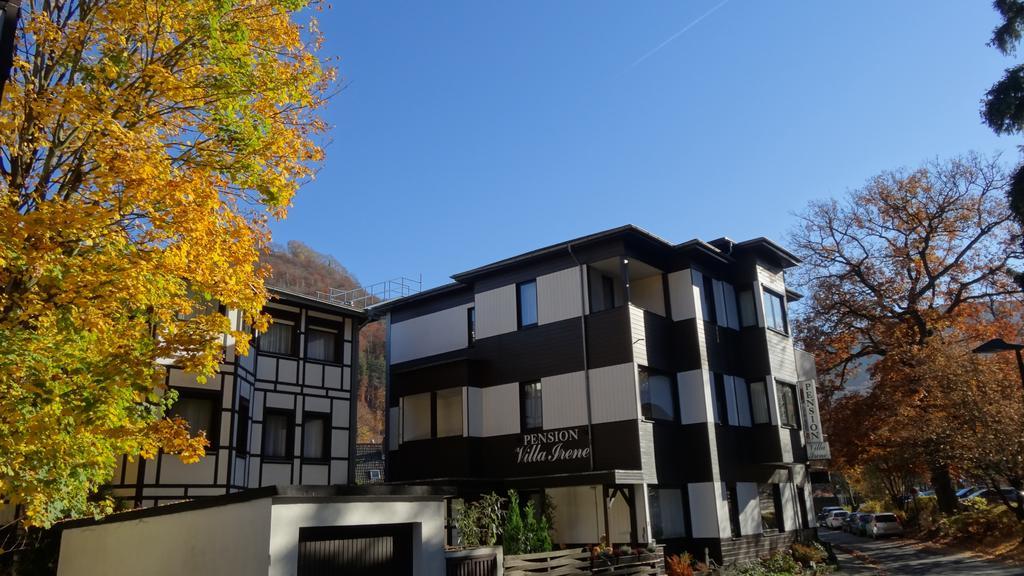 Pension Villa Irene バート・ハルツブルク エクステリア 写真